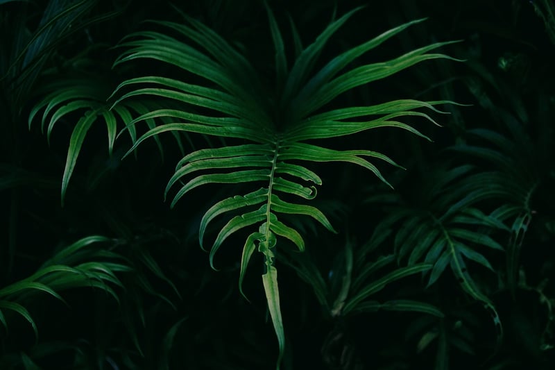 Foliage Garland